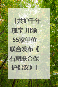 共护千年瑰宝 川渝55家单位联合发布《石窟联合保护倡议》