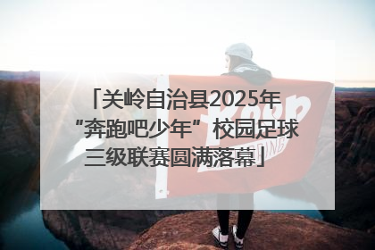 关岭自治县2025年“奔跑吧少年”校园足球三级联赛圆满落幕