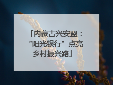 内蒙古兴安盟：“阳光银行”点亮乡村振兴路