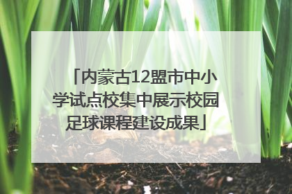 内蒙古12盟市中小学试点校集中展示校园足球课程建设成果
