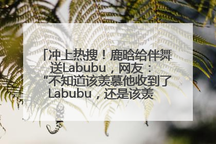 冲上热搜！鹿晗给伴舞送Labubu，网友：“不知道该羡慕他收到了Labubu，还是该羡慕鹿晗送他礼物”