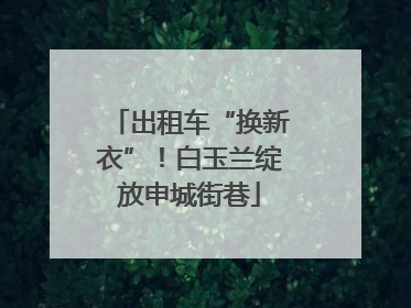 出租车“换新衣”！白玉兰绽放申城街巷