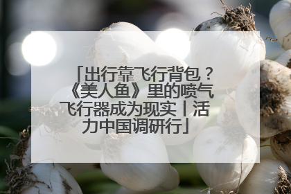 出行靠飞行背包？《美人鱼》里的喷气飞行器成为现实丨活力中国调研行