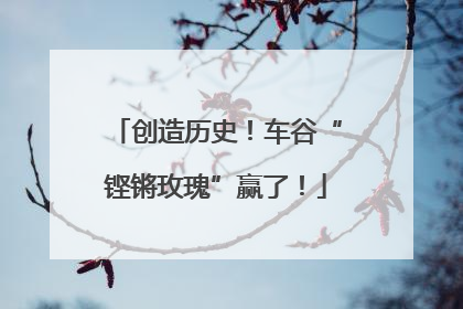 创造历史！车谷“铿锵玫瑰”赢了！
