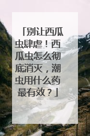 别让西瓜虫肆虐！西瓜虫怎么彻底消灭，潮虫用什么药最有效？