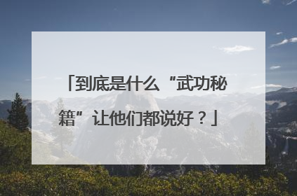 到底是什么“武功秘籍”让他们都说好？