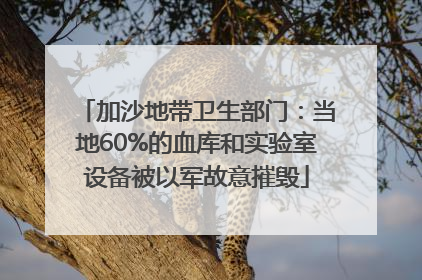 加沙地带卫生部门：当地60%的血库和实验室设备被以军故意摧毁