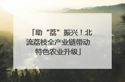 助“荔”振兴！北流荔枝全产业链带动特色农业升级
