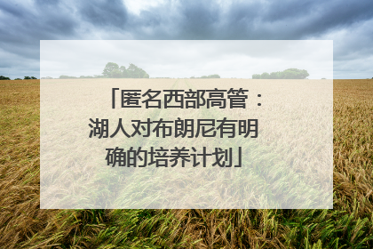 匿名西部高管：湖人对布朗尼有明确的培养计划