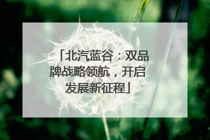 北汽蓝谷：双品牌战略领航，开启发展新征程