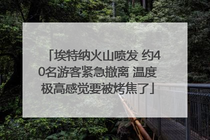 埃特纳火山喷发 约40名游客紧急撤离 温度极高感觉要被烤焦了