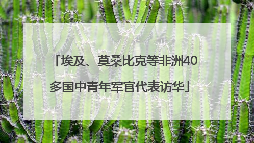 埃及、莫桑比克等非洲40多国中青年军官代表访华