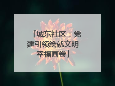 城东社区：党建引领绘就文明幸福画卷