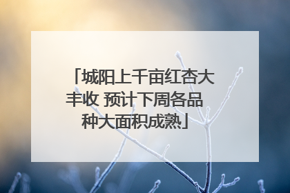 城阳上千亩红杏大丰收 预计下周各品种大面积成熟