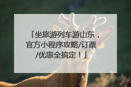 坐旅游列车游山东，官方小程序攻略/订票/优惠全搞定！