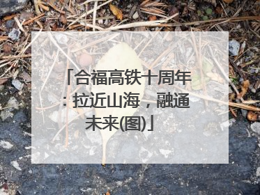 合福高铁十周年：拉近山海，融通未来(图)
