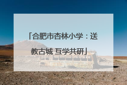 合肥市杏林小学：送教古城 互学共研