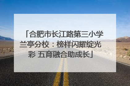 合肥市长江路第三小学兰亭分校：榜样闪耀绽光彩 五育融合助成长