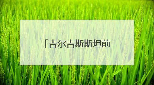 吉尔吉斯斯坦前总理：“金砖+”推新金融方案，重塑国际合作