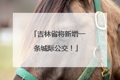 吉林省将新增一条城际公交！