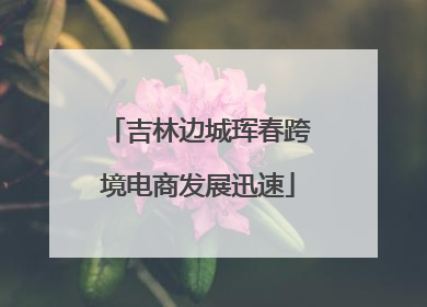 吉林边城珲春跨境电商发展迅速