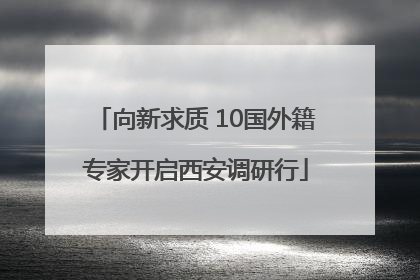 向新求质 10国外籍专家开启西安调研行
