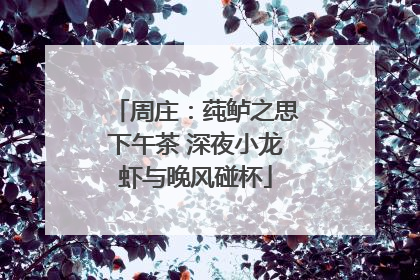 周庄：莼鲈之思下午茶 深夜小龙虾与晚风碰杯