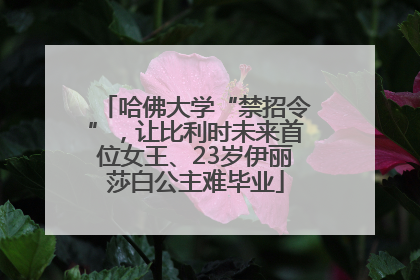 哈佛大学“禁招令”，让比利时未来首位女王、23岁伊丽莎白公主难毕业