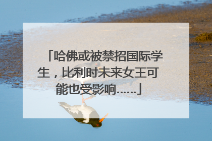 哈佛或被禁招国际学生，比利时未来女王可能也受影响……