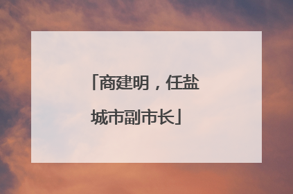 商建明，任盐城市副市长