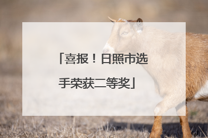 喜报！日照市选手荣获二等奖
