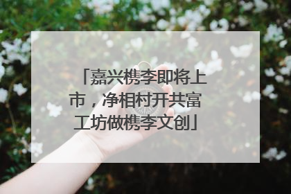 嘉兴槜李即将上市，净相村开共富工坊做槜李文创