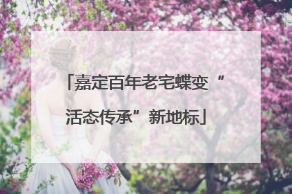 嘉定百年老宅蝶变“活态传承”新地标