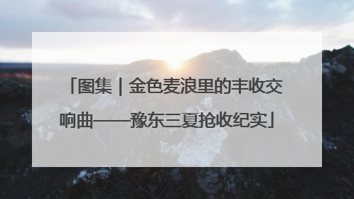 图集｜金色麦浪里的丰收交响曲——豫东三夏抢收纪实