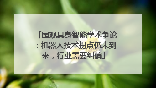 围观具身智能学术争论：机器人技术拐点仍未到来，行业需要纠偏
