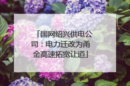 国网绍兴供电公司：电力迁改为甬金高速拓宽让道
