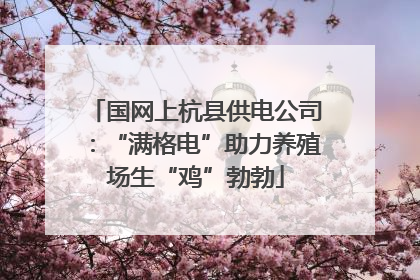 国网上杭县供电公司：“满格电”助力养殖场生“鸡”勃勃