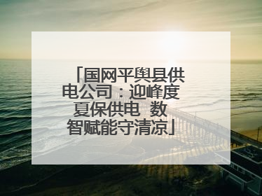 国网平舆县供电公司：迎峰度夏保供电  数智赋能守清凉