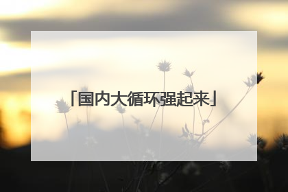 国内大循环强起来