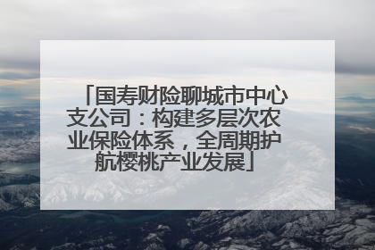 国寿财险聊城市中心支公司：构建多层次农业保险体系，全周期护航樱桃产业发展