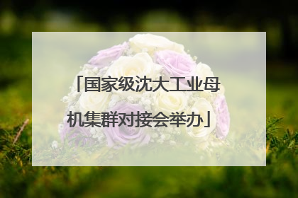 国家级沈大工业母机集群对接会举办