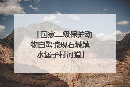 国家二级保护动物白鹭惊现石城镇水堡子村河道