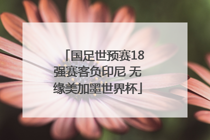 国足世预赛18强赛客负印尼 无缘美加墨世界杯