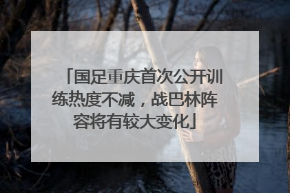 国足重庆首次公开训练热度不减，战巴林阵容将有较大变化