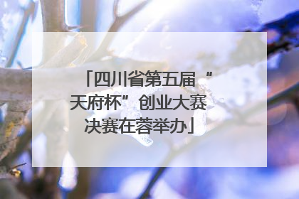四川省第五届“天府杯”创业大赛决赛在蓉举办