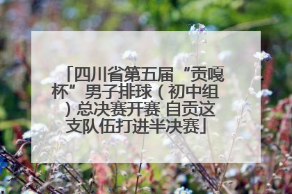 四川省第五届“贡嘎杯”男子排球（初中组）总决赛开赛 自贡这支队伍打进半决赛