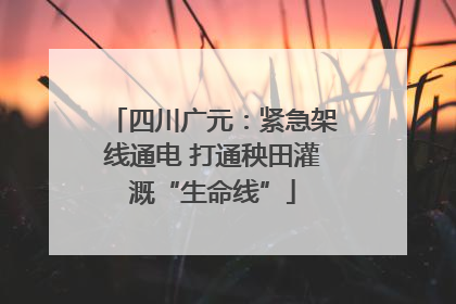 四川广元：紧急架线通电 打通秧田灌溉“生命线”
