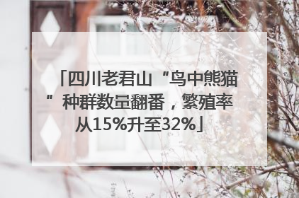 四川老君山“鸟中熊猫”种群数量翻番，繁殖率从15%升至32%