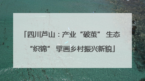 四川芦山：产业“破茧” 生态“织锦” 擘画乡村振兴新貌