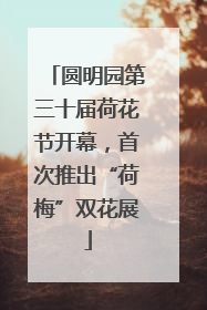 圆明园第三十届荷花节开幕，首次推出“荷梅”双花展